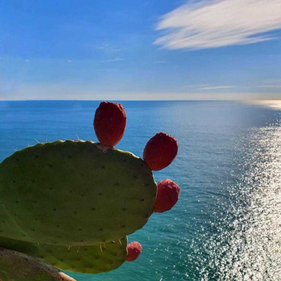 شقة La Terrazza Sul Blu كورنيجليا المظهر الخارجي الصورة