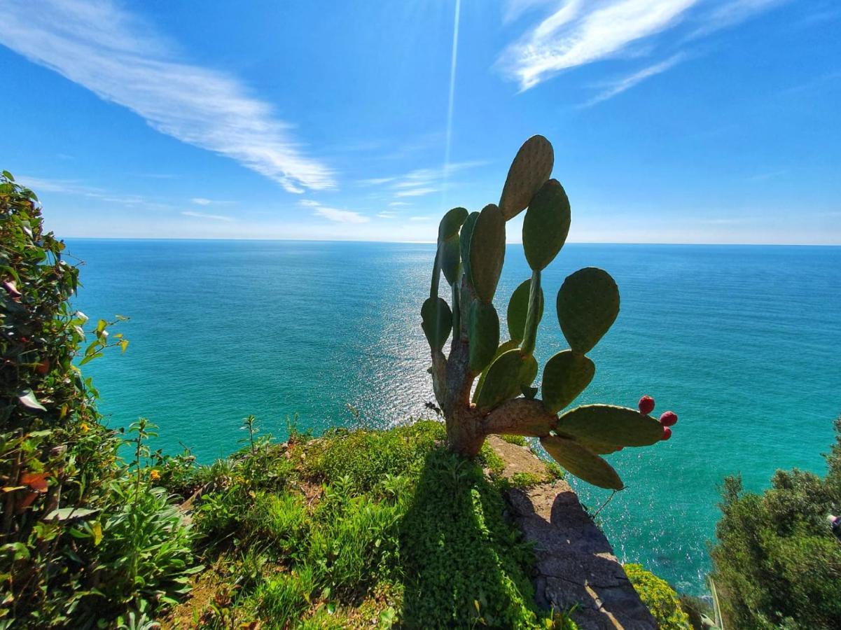 شقة La Terrazza Sul Blu كورنيجليا المظهر الخارجي الصورة