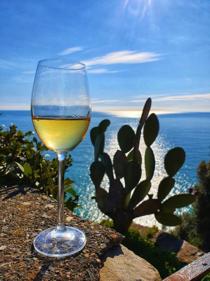 شقة La Terrazza Sul Blu كورنيجليا المظهر الخارجي الصورة