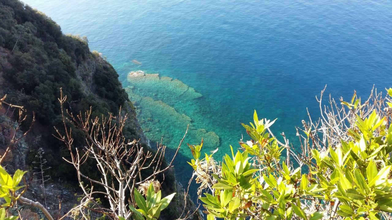 شقة La Terrazza Sul Blu كورنيجليا المظهر الخارجي الصورة
