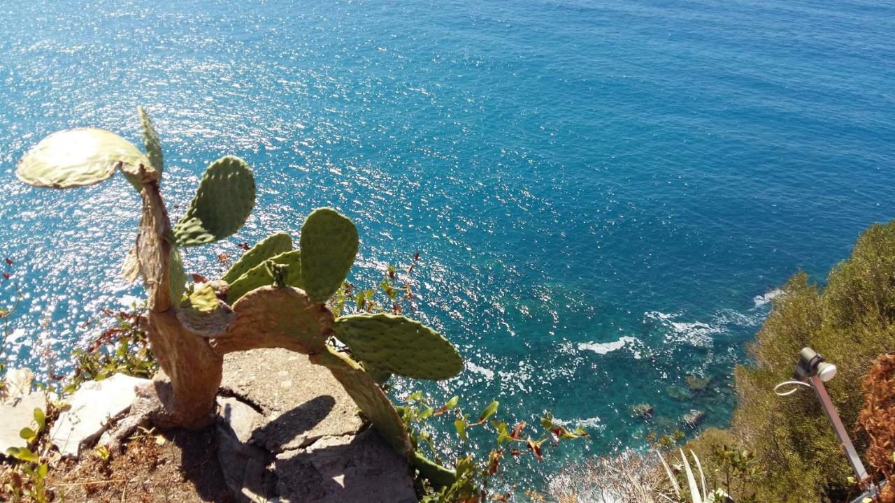 شقة La Terrazza Sul Blu كورنيجليا المظهر الخارجي الصورة
